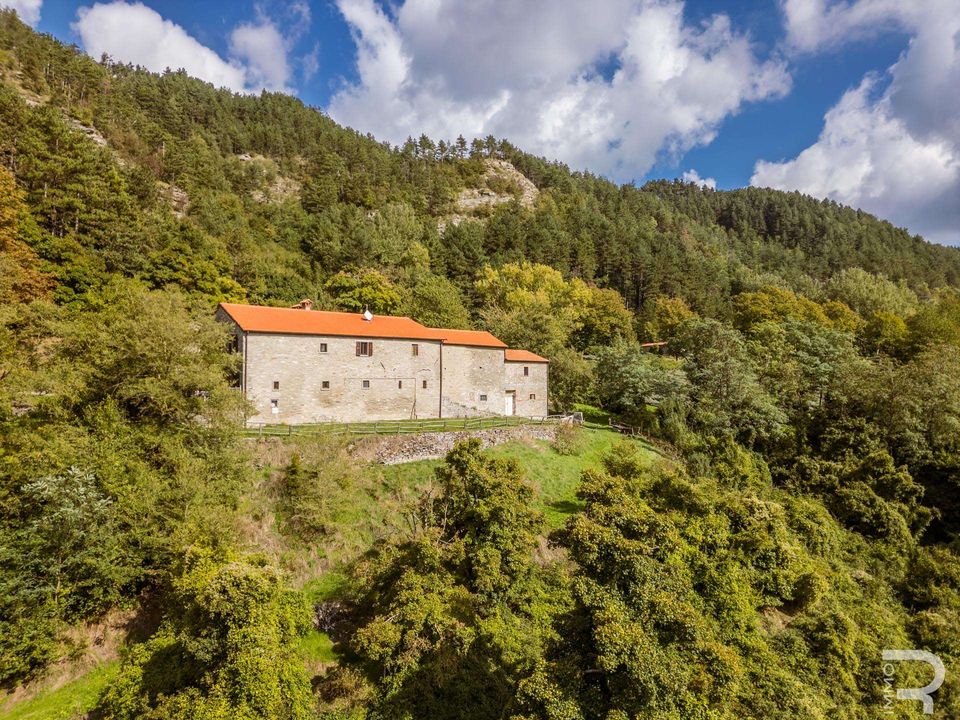 Farm hus i Borgo San Lorenzo, Florence - foto 5