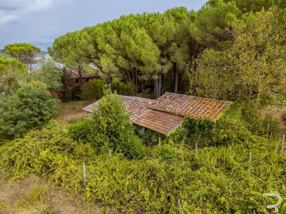 Boerderij in Fauglia, Pisa - foto 4