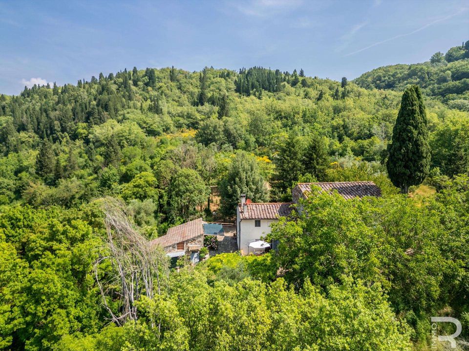 Farm hus i Pontassieve, Florence - foto 4