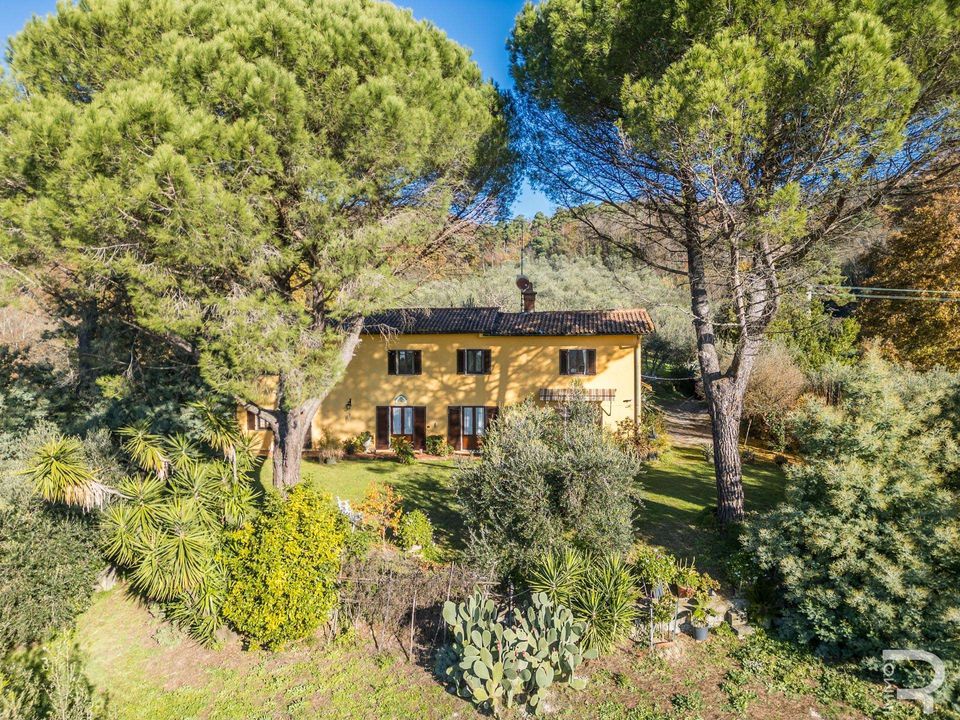 Farm hus i Monsummano Terme, Pistoia - foto 1