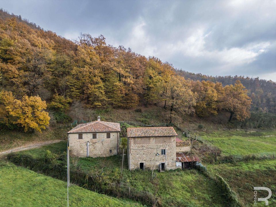 Farm house in Scarperia e San Piero, Florence - photo 4