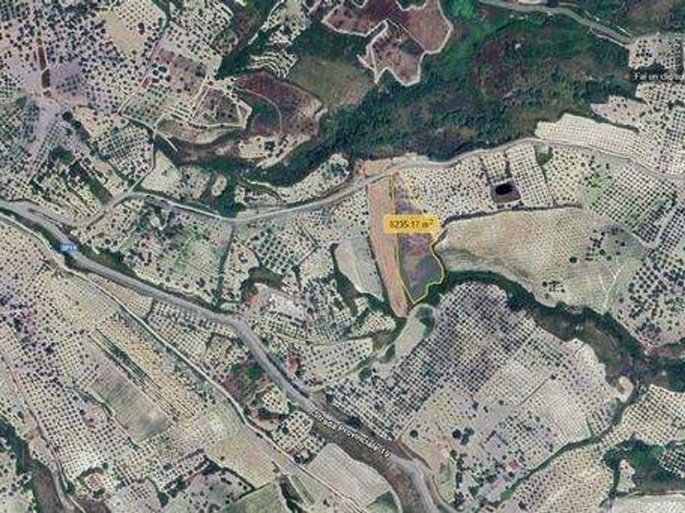 Tomt i Alessandria della Rocca, Agrigento - bilde 4