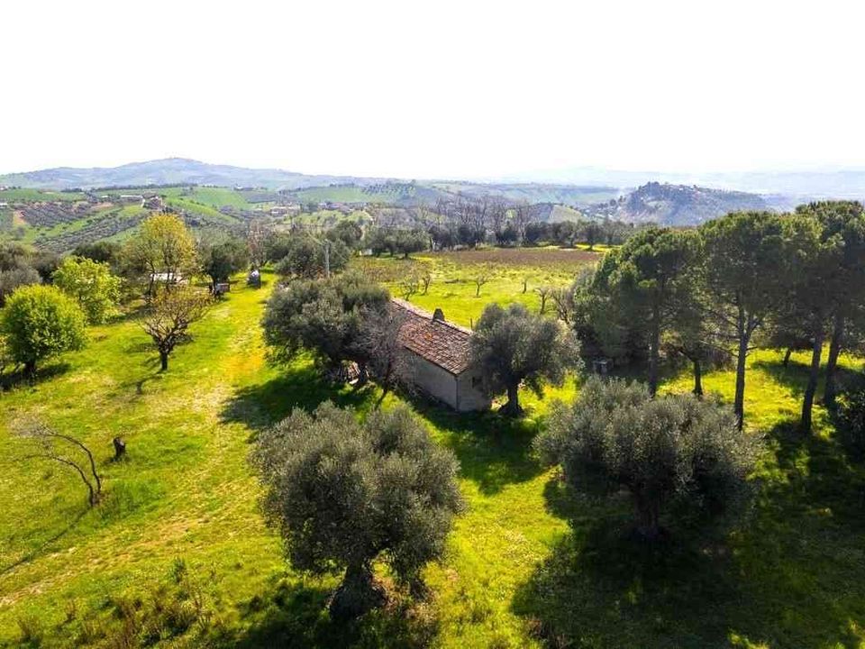 Villa i Notaresco, Teramo - foto 2