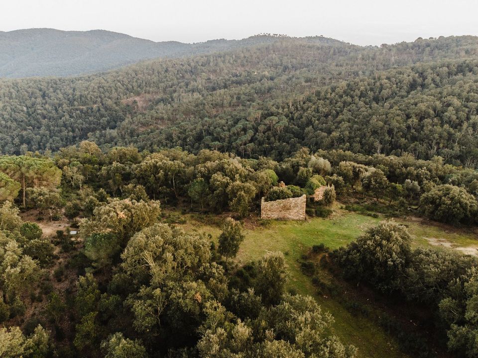Ruinere i Cruilles, Gerona - foto 2