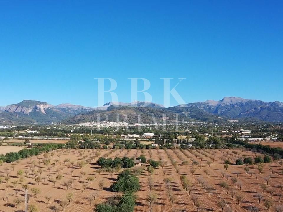 Landejendom i Inca, Mallorca - foto 3