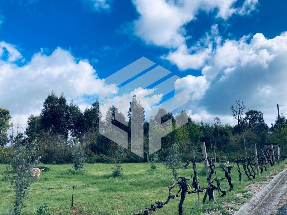 Villa i Oliveira do Hospital, Coimbra - foto 5