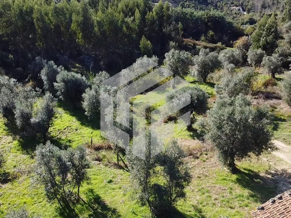 Landejendom i Oliveira do Hospital, Coimbra - foto 3