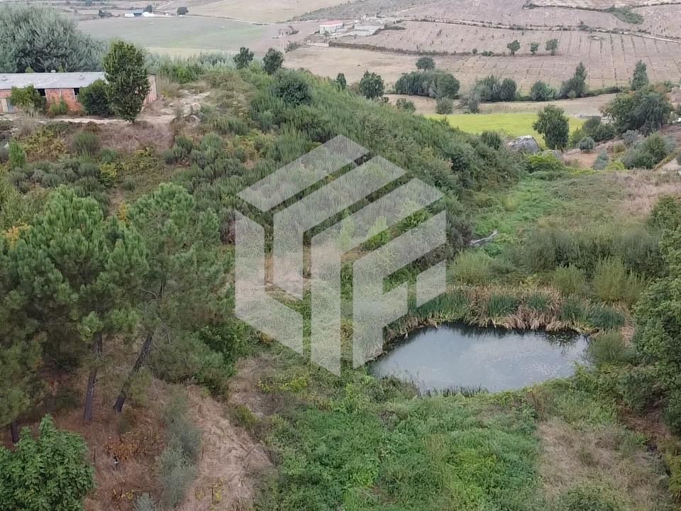 Landejendom i Oliveira do Hospital, Coimbra - foto 5