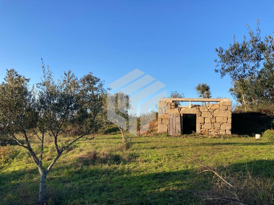 Landejendom i Oliveira do Hospital, Coimbra - foto 1