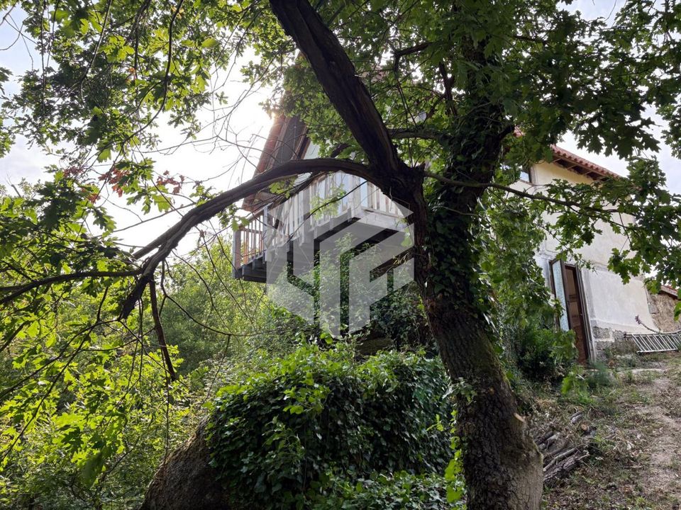 Landejendom i Tabua, Coimbra - foto 5