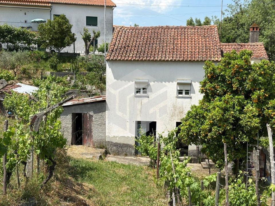 Landejendom i Oliveira do Hospital, Coimbra - foto 2