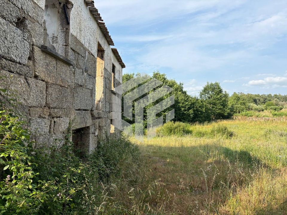 Landejendom i Tabua, Coimbra - foto 4
