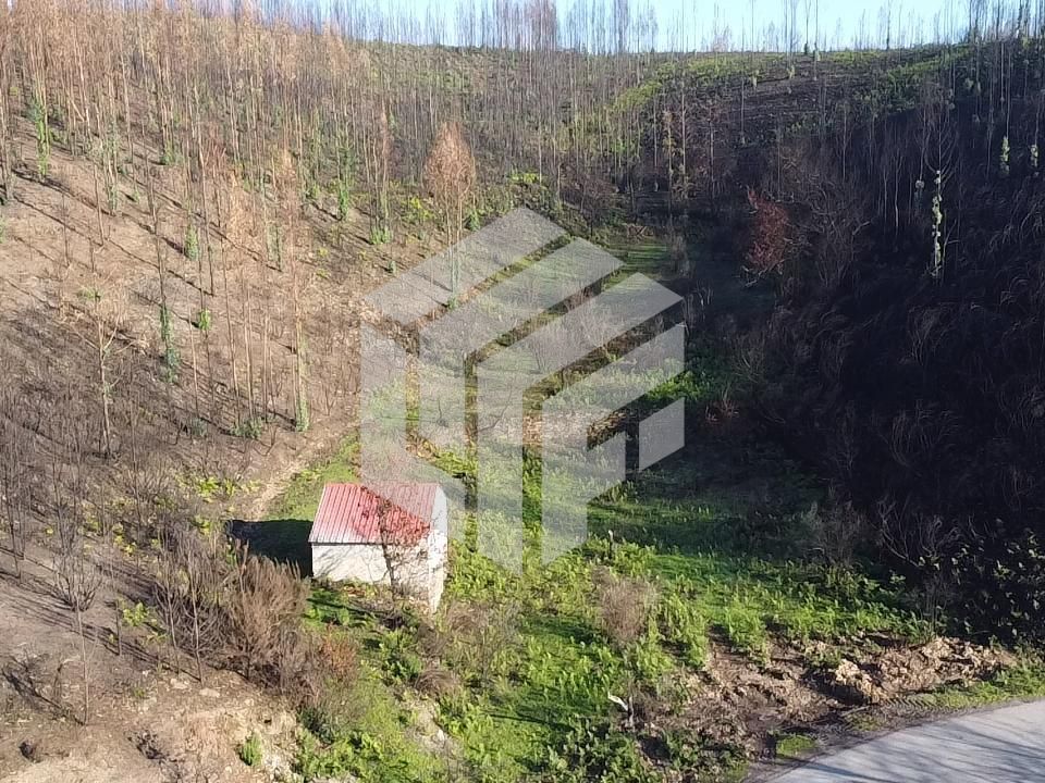 Landejendom i Arganil, Coimbra - foto 3