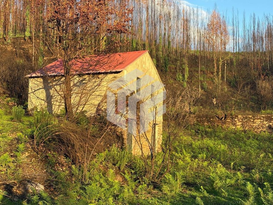 Landejendom i Arganil, Coimbra - foto 4