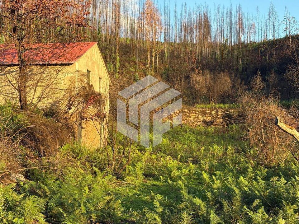 Landejendom i Arganil, Coimbra - foto 5