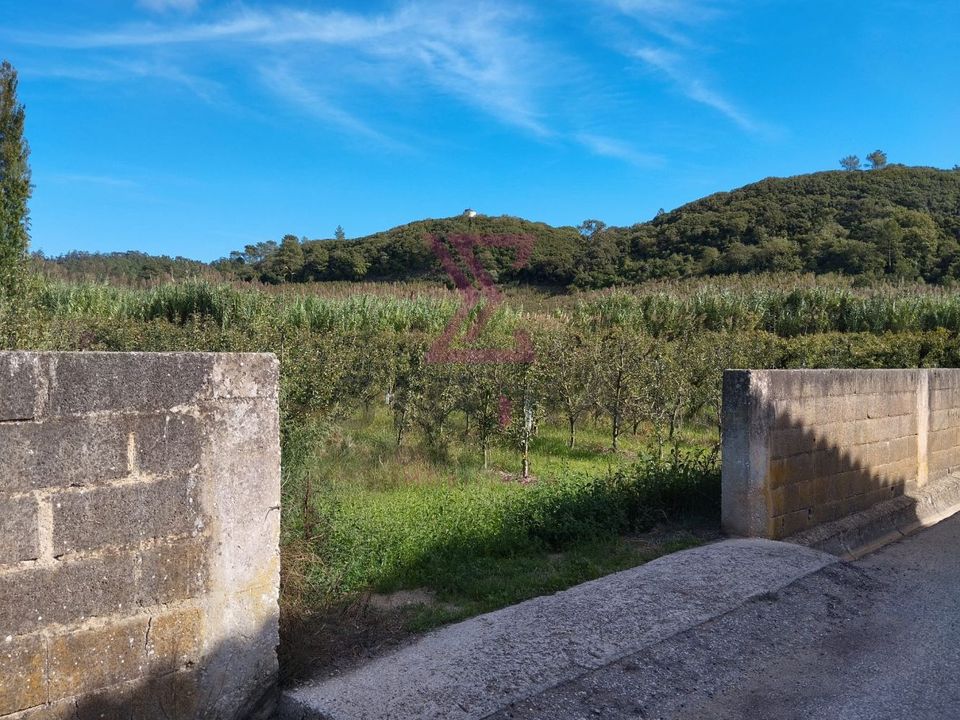 Helårsgrund i Bombarral, Leiria - foto 4
