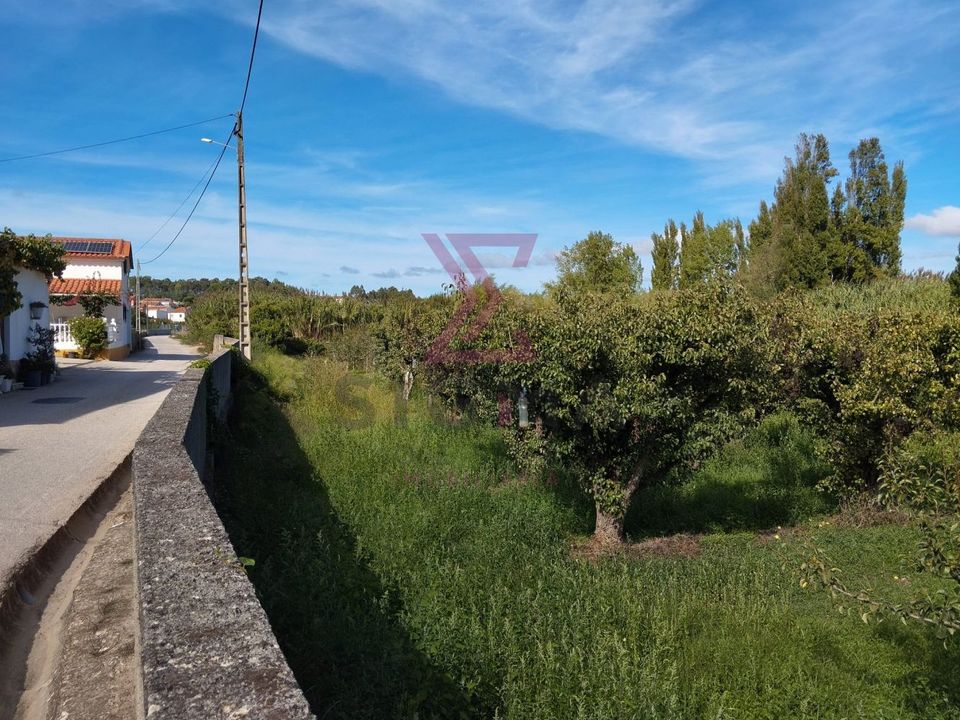 Helårsgrund i Bombarral, Leiria - foto 5