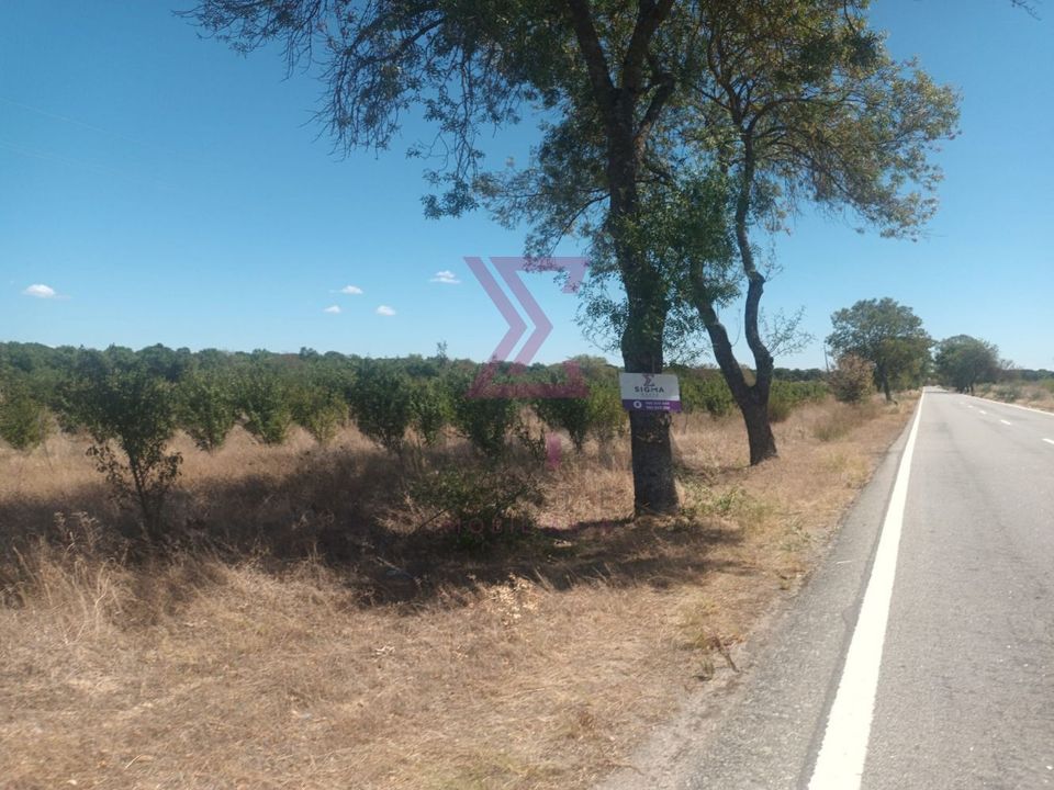 Helårsgrund i Idanha-a-Nova, Castelo Branco - foto 1