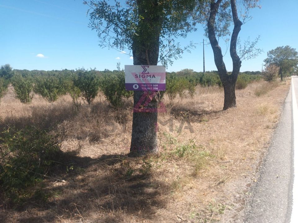 Helårsgrund i Idanha-a-Nova, Castelo Branco - foto 2