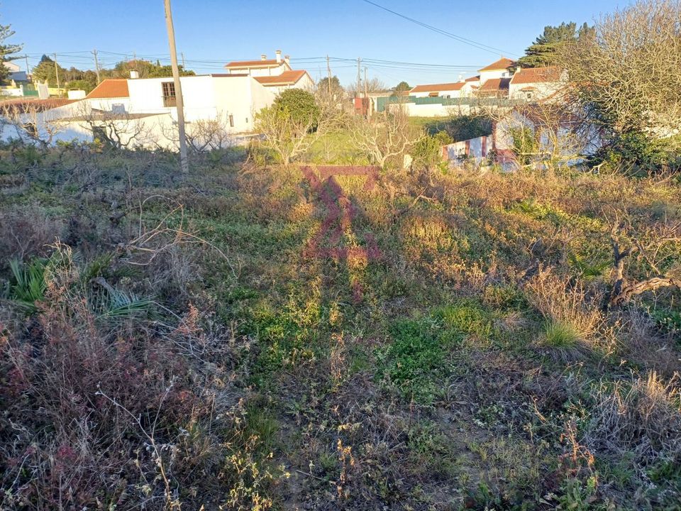 Helårsgrund i Bombarral, Leiria - foto 3