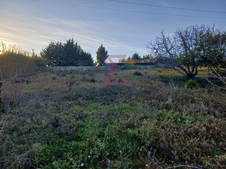 Helårsgrund i Bombarral, Leiria - foto 4