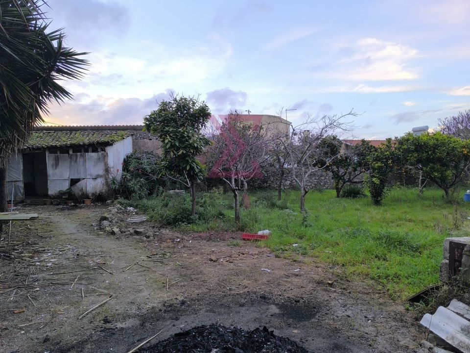 Landejendom i Bombarral, Leiria - foto 3