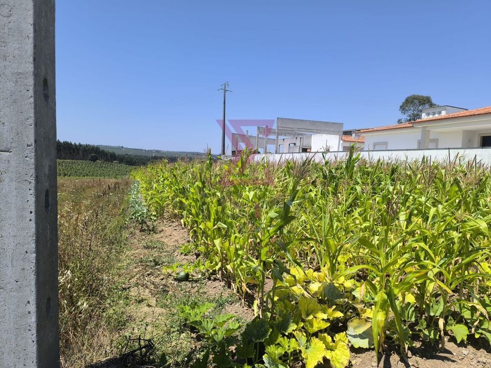 Helårsgrund i Bombarral, Leiria - foto 2