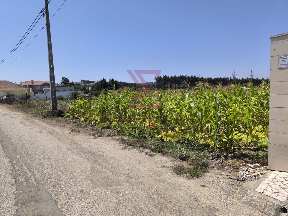 Helårsgrund i Bombarral, Leiria - foto 3