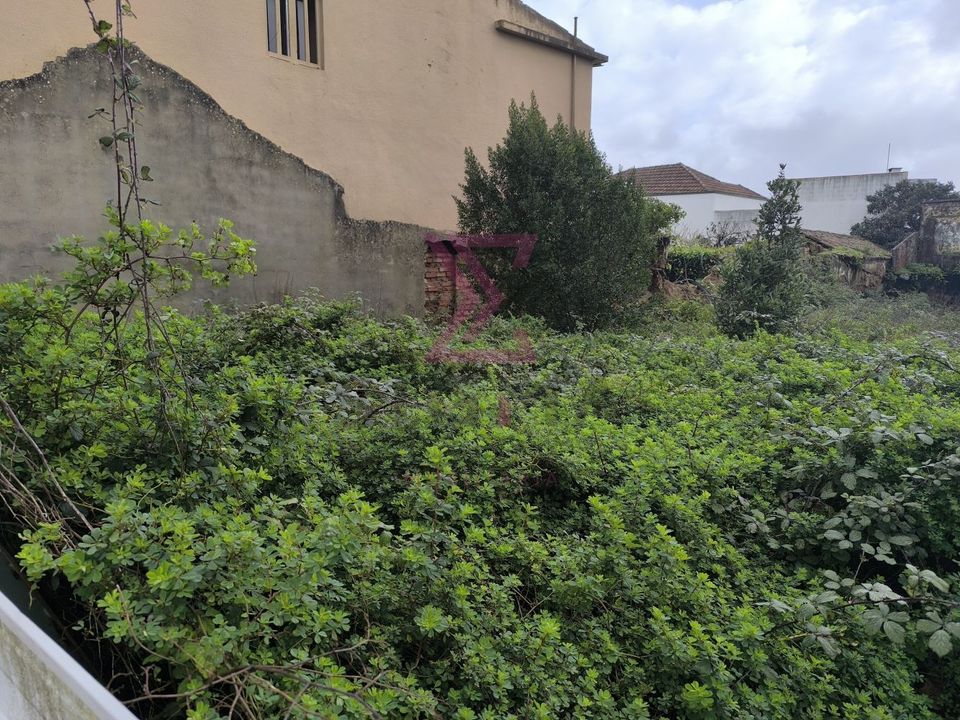 Helårsgrund i Bombarral, Leiria - foto 5
