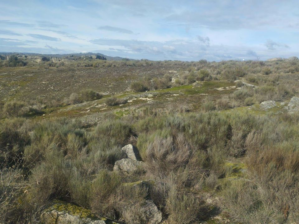 Helårsgrund i Guarda, Guarda - foto 2