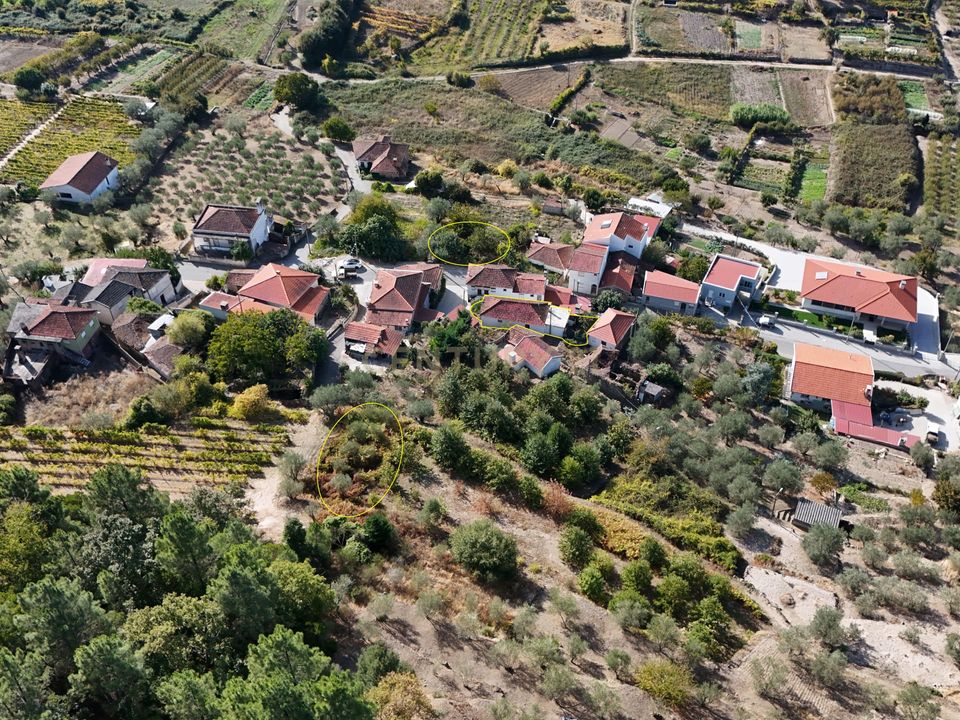 Villa i Lamego, Viseu - foto 1