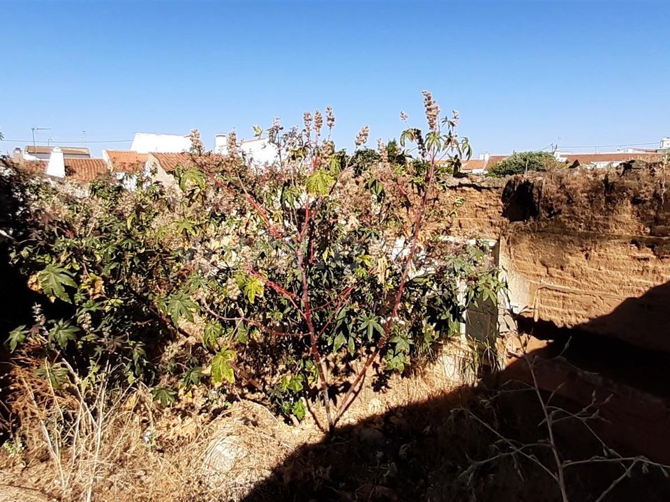 Tomt i Vidigueira, Beja - bilde 1