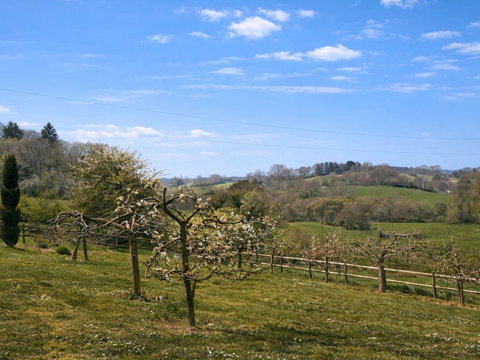 Villa a Saint-Agnant-de-Versillat, Creuse - foto 2