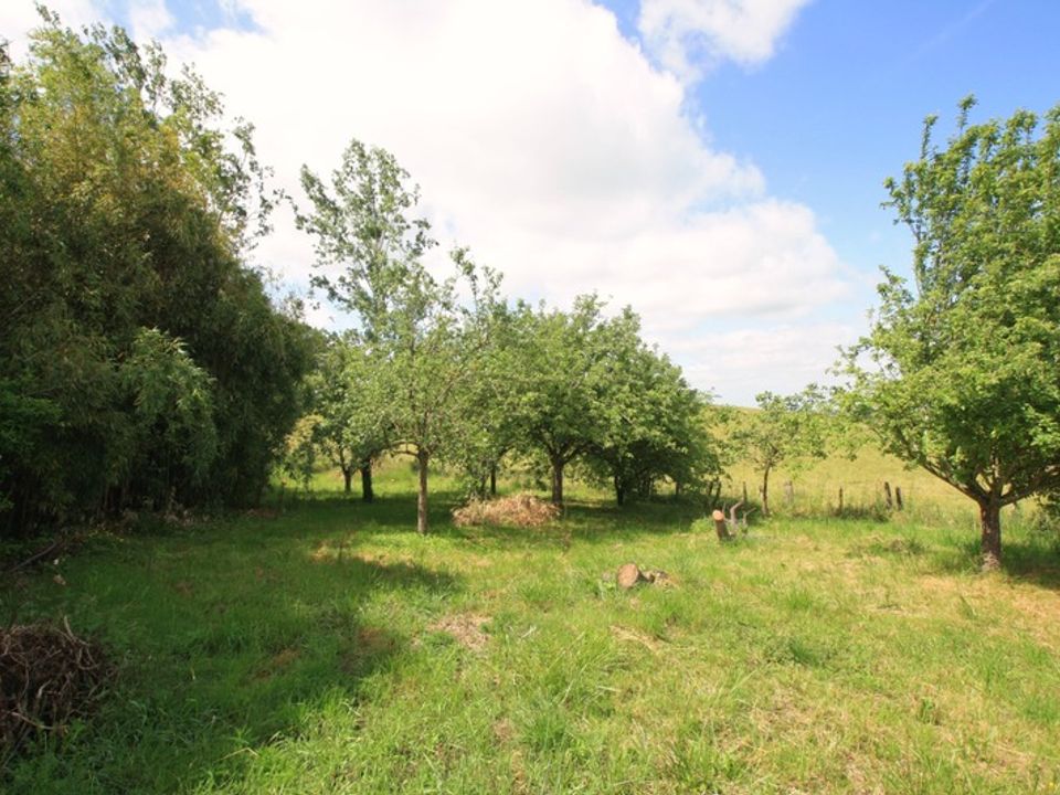 Villa i Lapalisse, Allier - foto 3