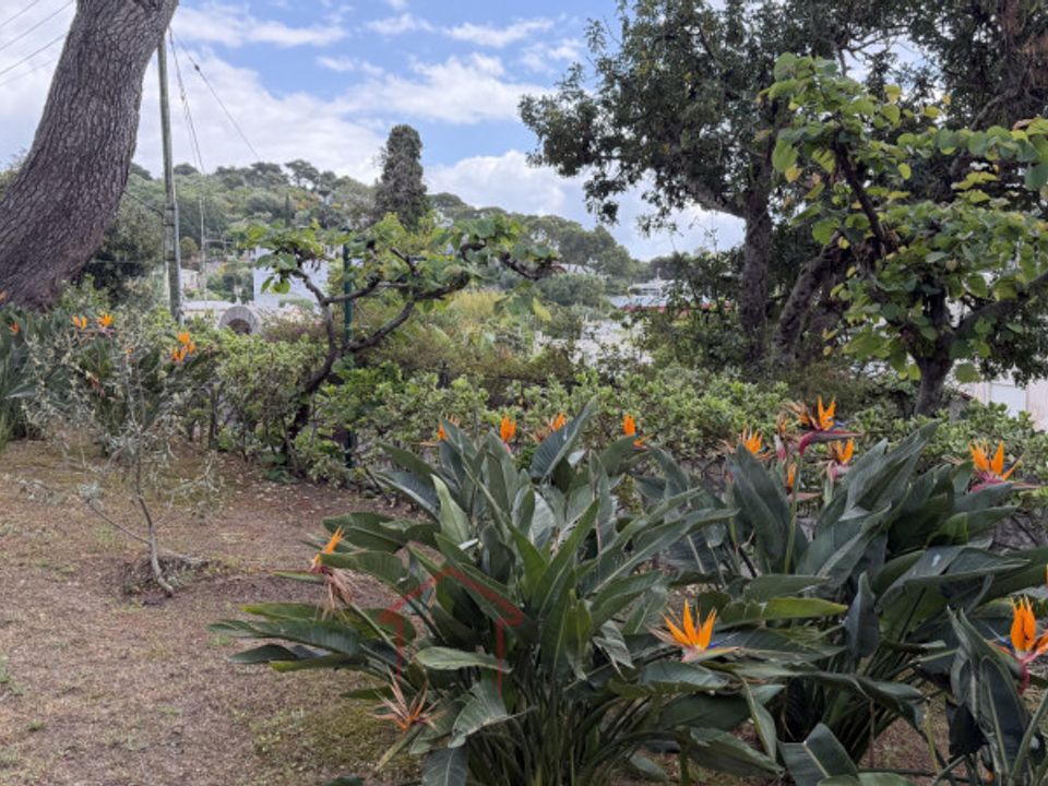 Villa i Anacapri, Naples - foto 2