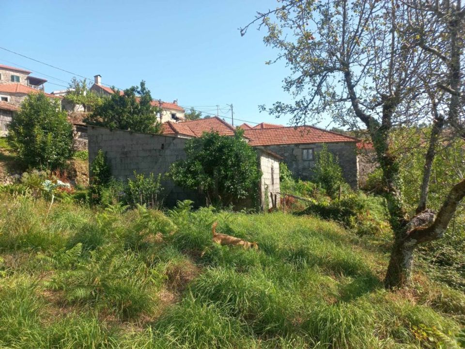 Herregård i Paredes de Coura, Viana do Castelo - bilde 3