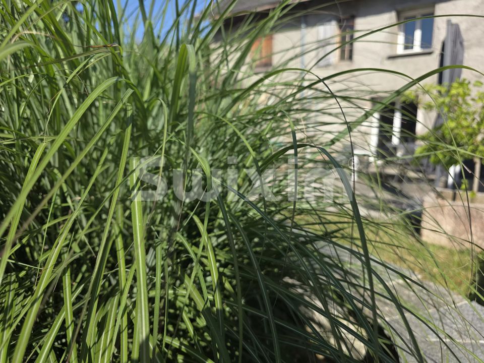 Villa i Saint-Germain-La-Chambotte, Savoie - foto 1