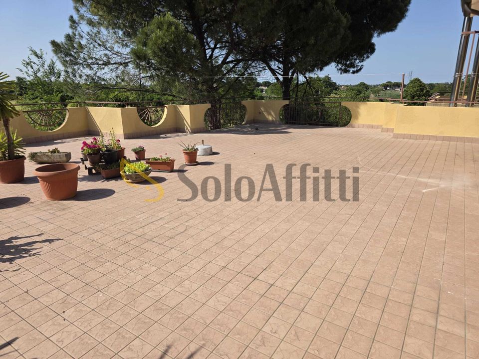 Apartment in Savignano sul Rubicone, Forli-Cesena - photo 2