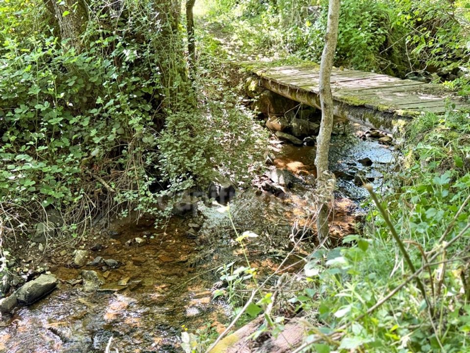 Landejendom i Cherier, Loire - foto 2