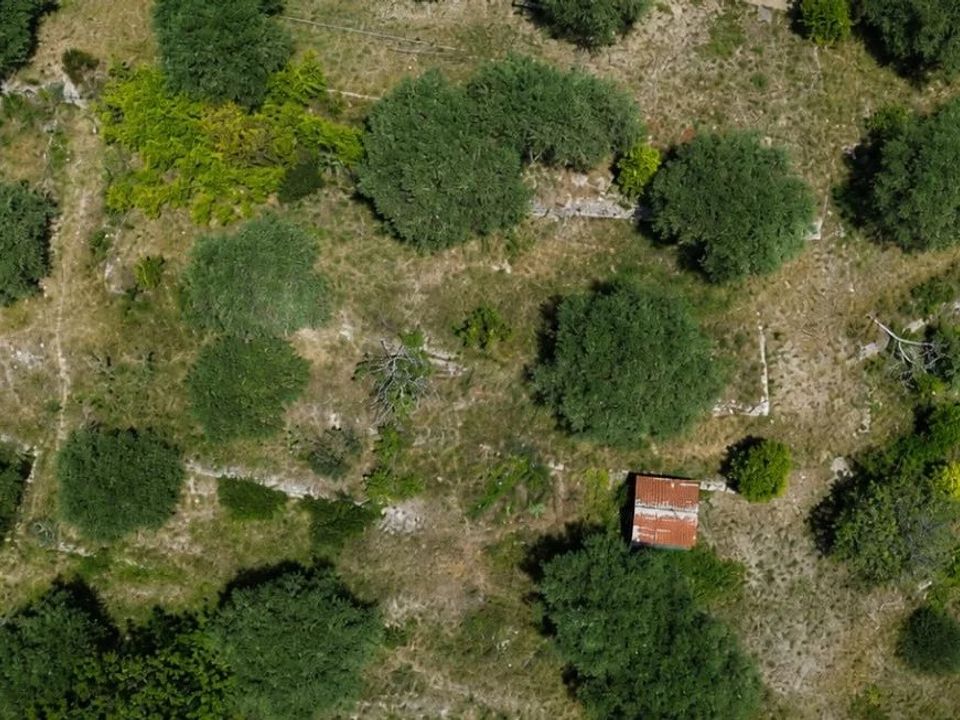 Terra a Drap, Alpes-Maritimes - foto 1