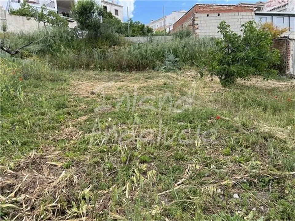 Byhus i Luque, Cordoba - foto 1