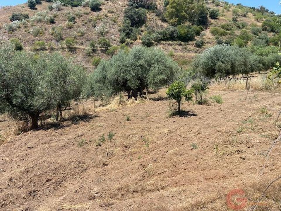 Finca i Comares, Malaga - foto 5