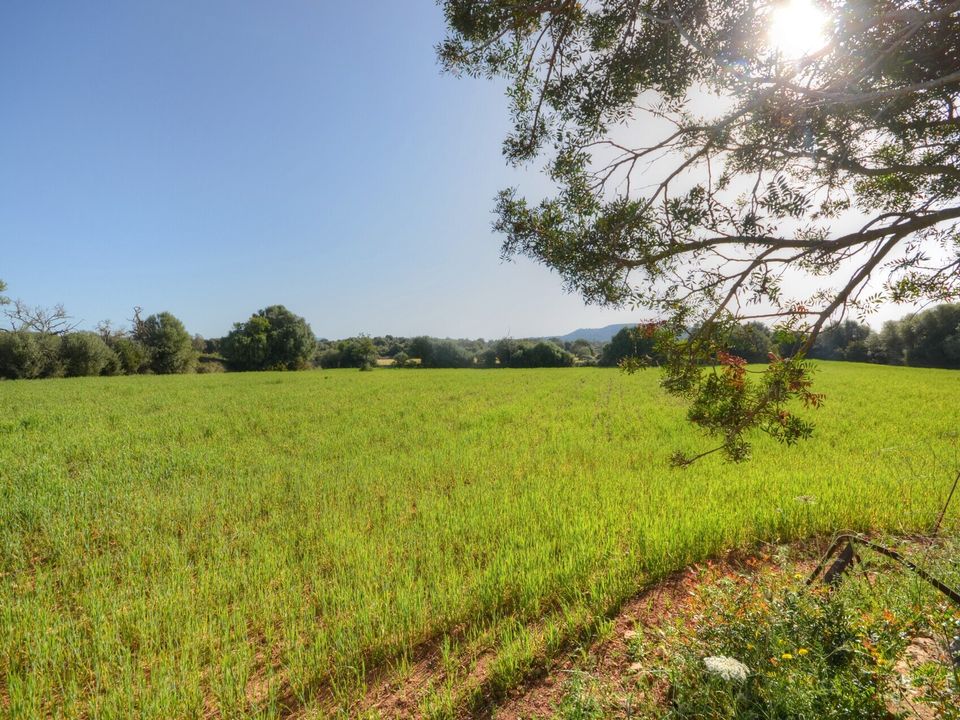 Helårsgrund i Santanyi, Mallorca - foto 3