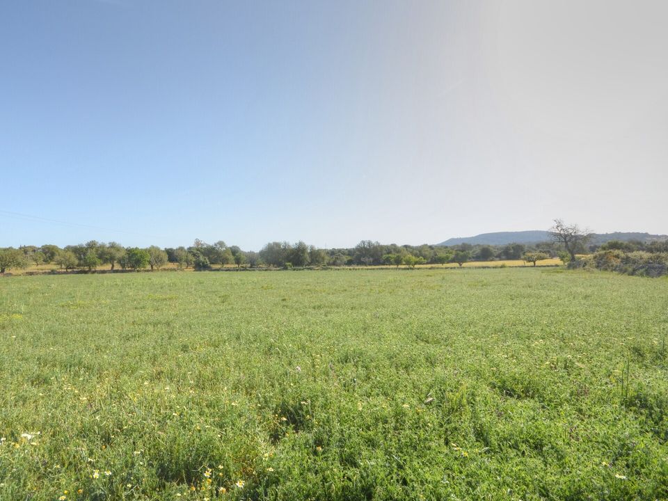 Helårsgrund i Santanyi, Mallorca - foto 4