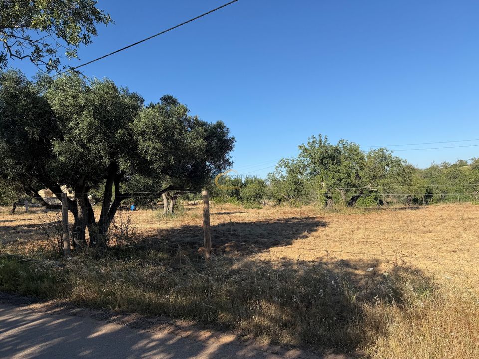 Helårsgrund i Albufeira, Faro - foto 1