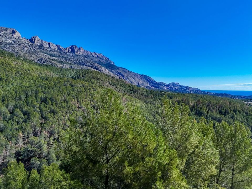 Helårsgrund i Altea, Alicante - foto 5