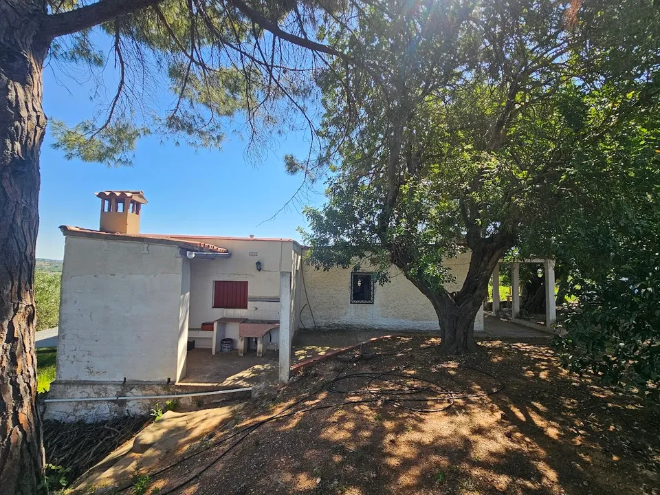 Masia a Canals, Valencia - foto 4