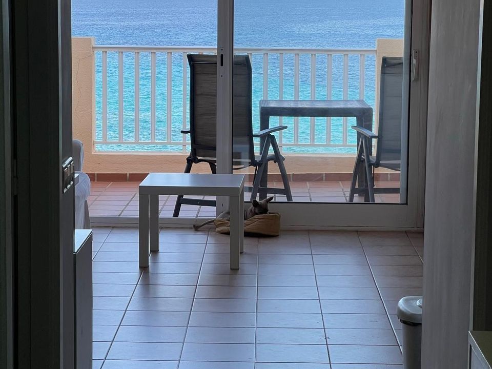 Lejlighed i Santa Eulalia Del Rio, Ibiza - foto 5