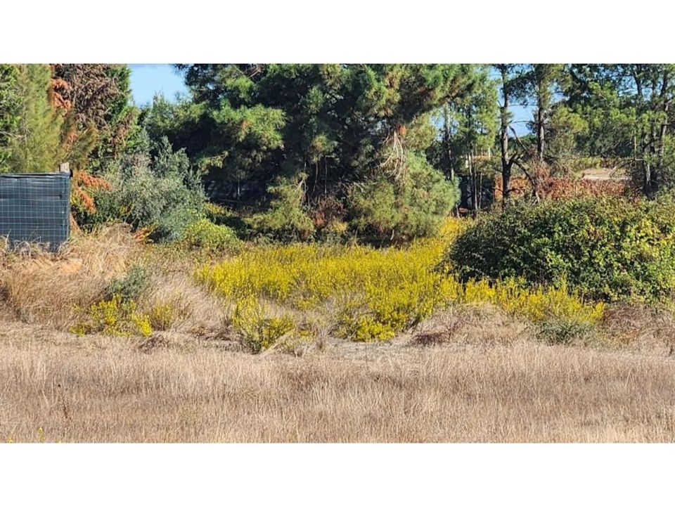 Farm i Palmela, Setubal - foto 1