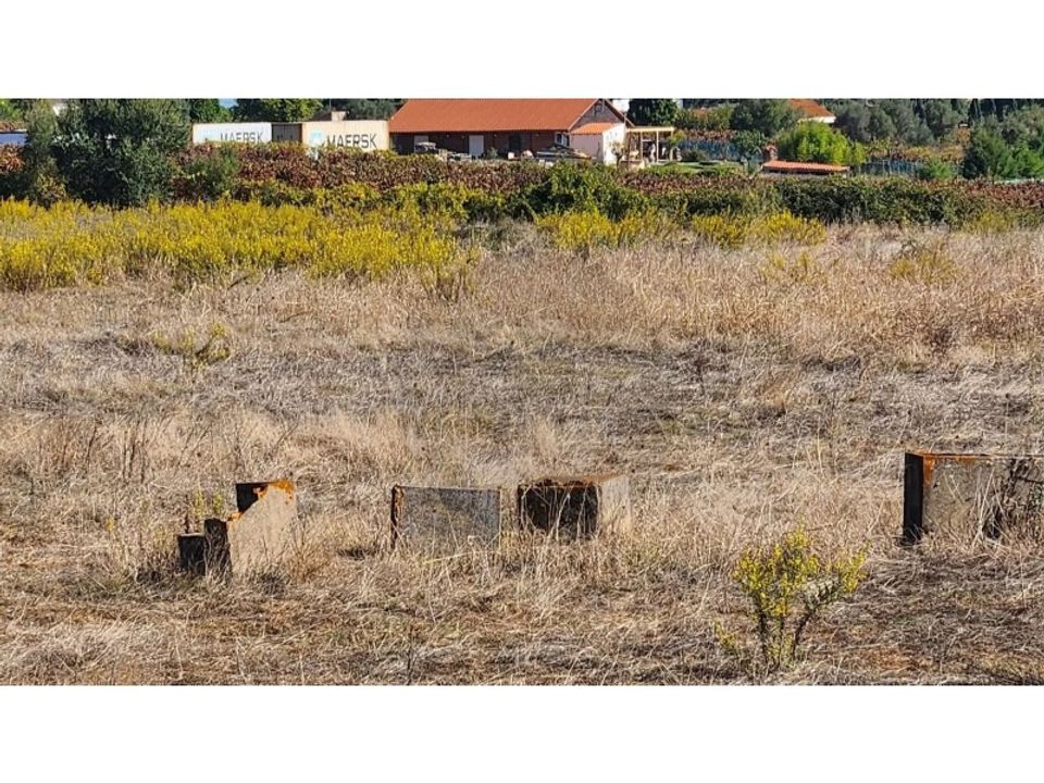 Farm i Palmela, Setubal - foto 2